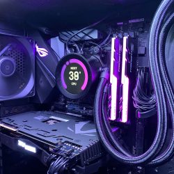 wd_img_5